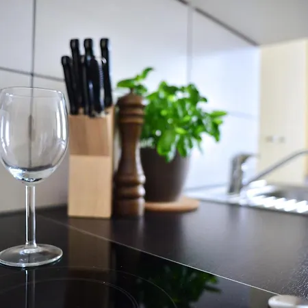 - Zoo Apartamento